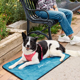 A Border Collie lying on a colorado sky my place dog bed with a person sitting on a bench in the background