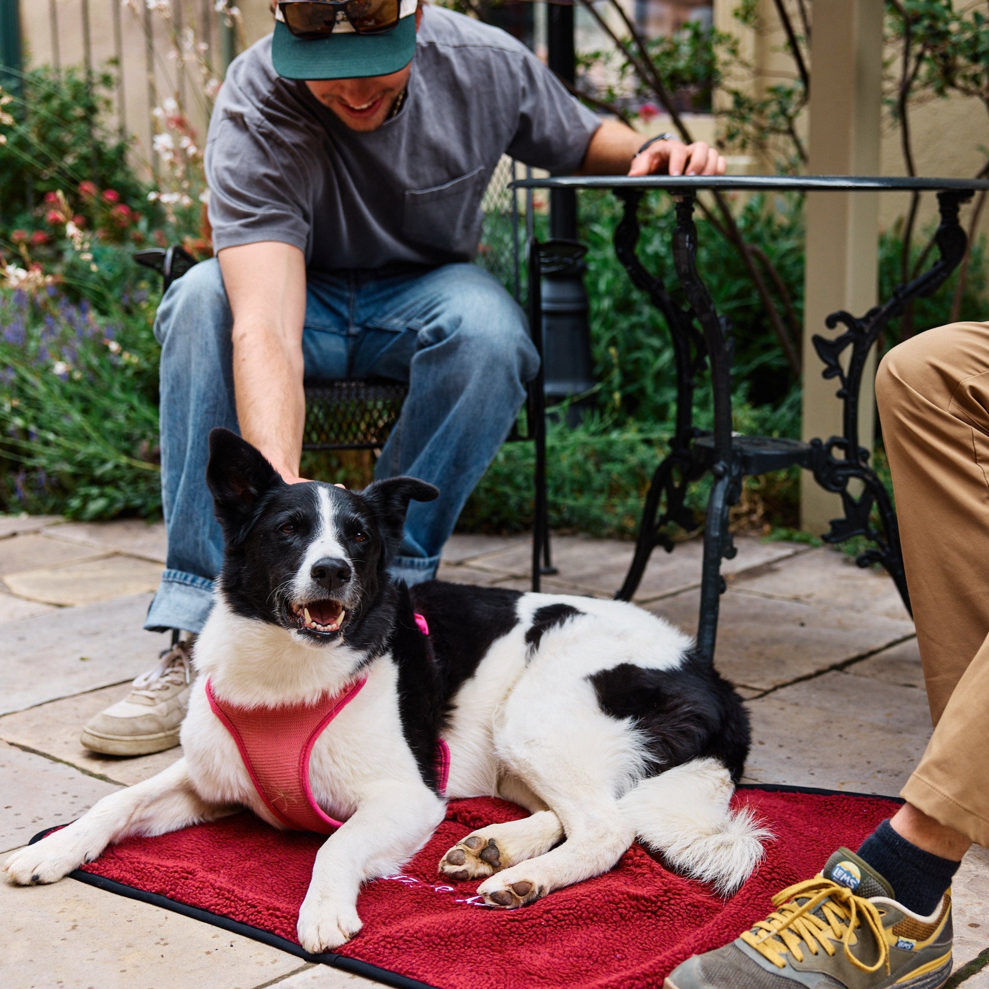 A Border Collie on a pinot noir My Place dog bed with two people sitting nearby at a cafe