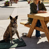 A dog sitting on a Ponderosa Pine My Place dog bed with their owner at a table next to them