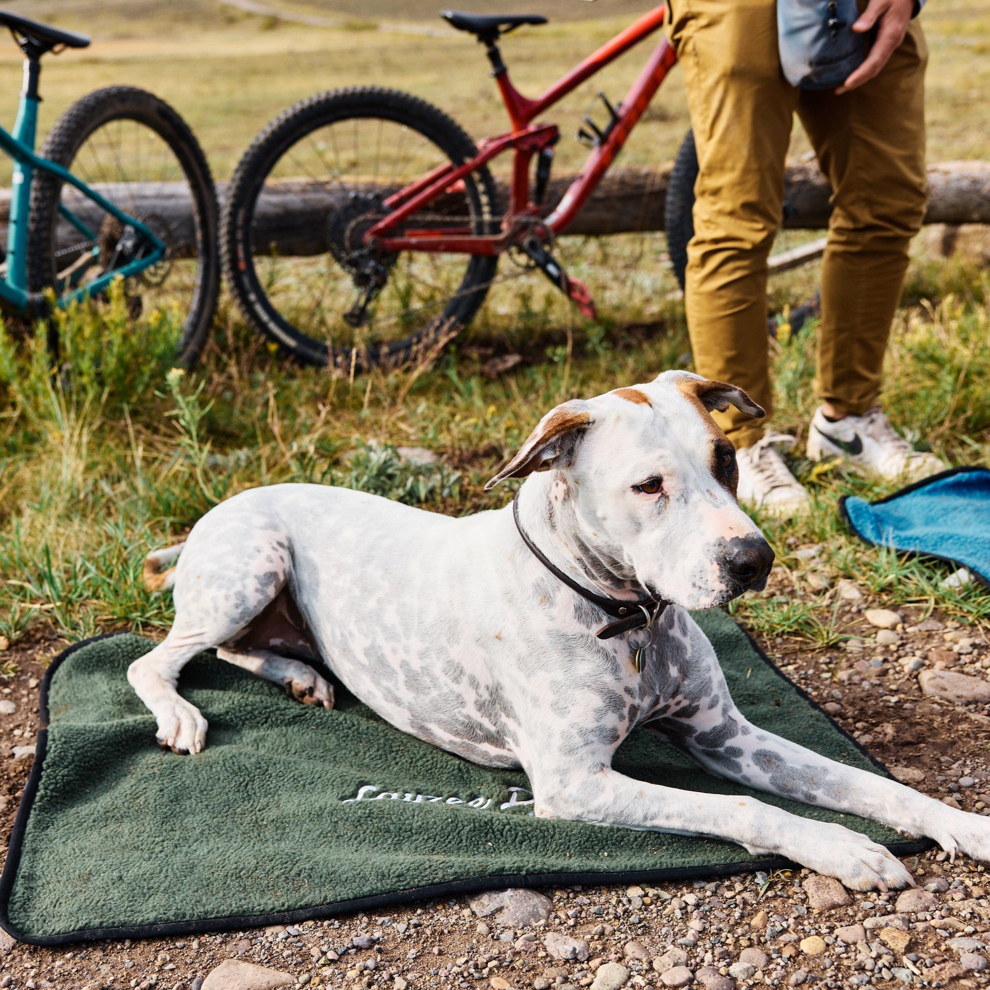 A white dog laying on Ponderosa Pine My Place dog bed with it's owner in the background