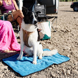 Dog on a Colorado Sky My Place with people and chairs in the background