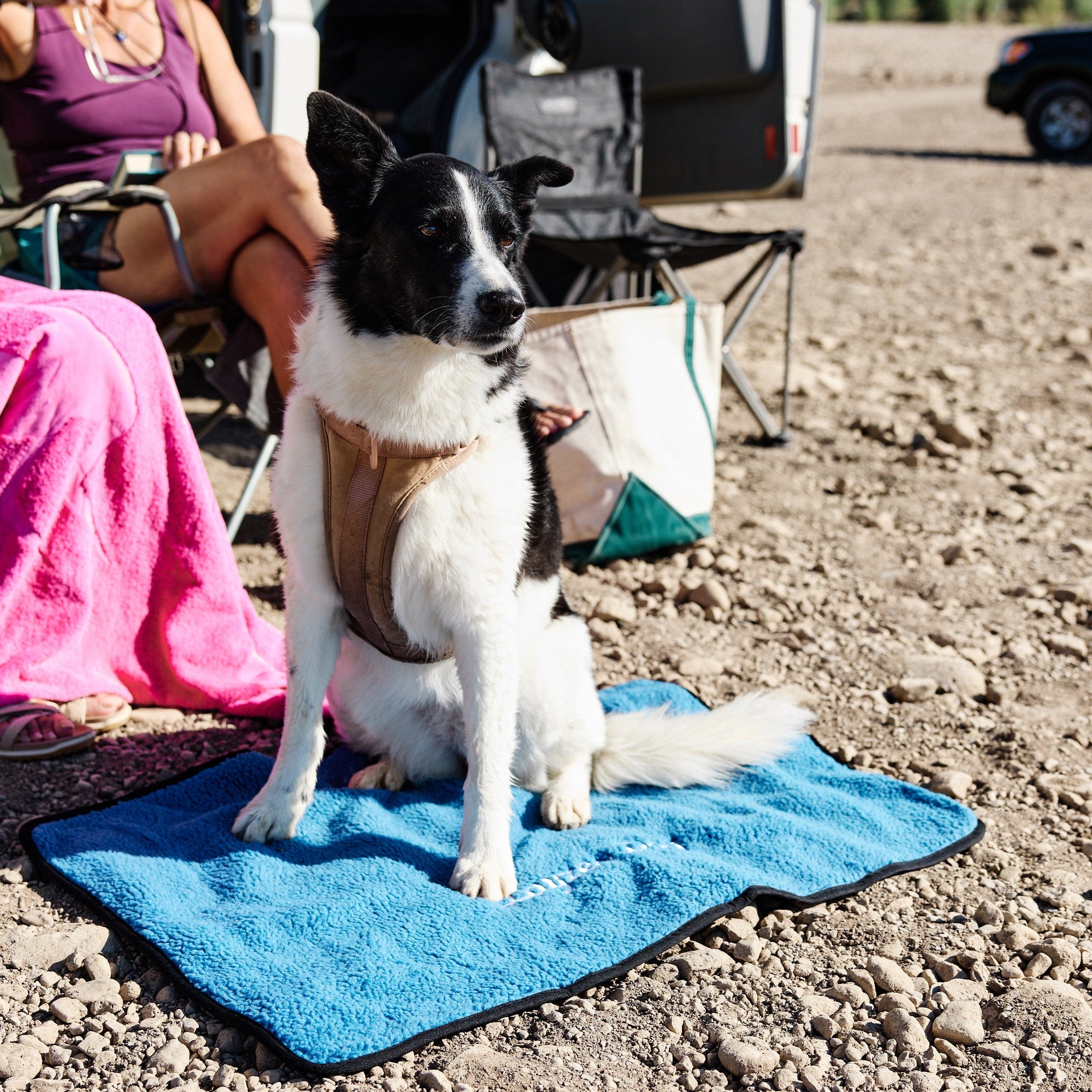 Dog on a Colorado Sky My Place with people and chairs in the background