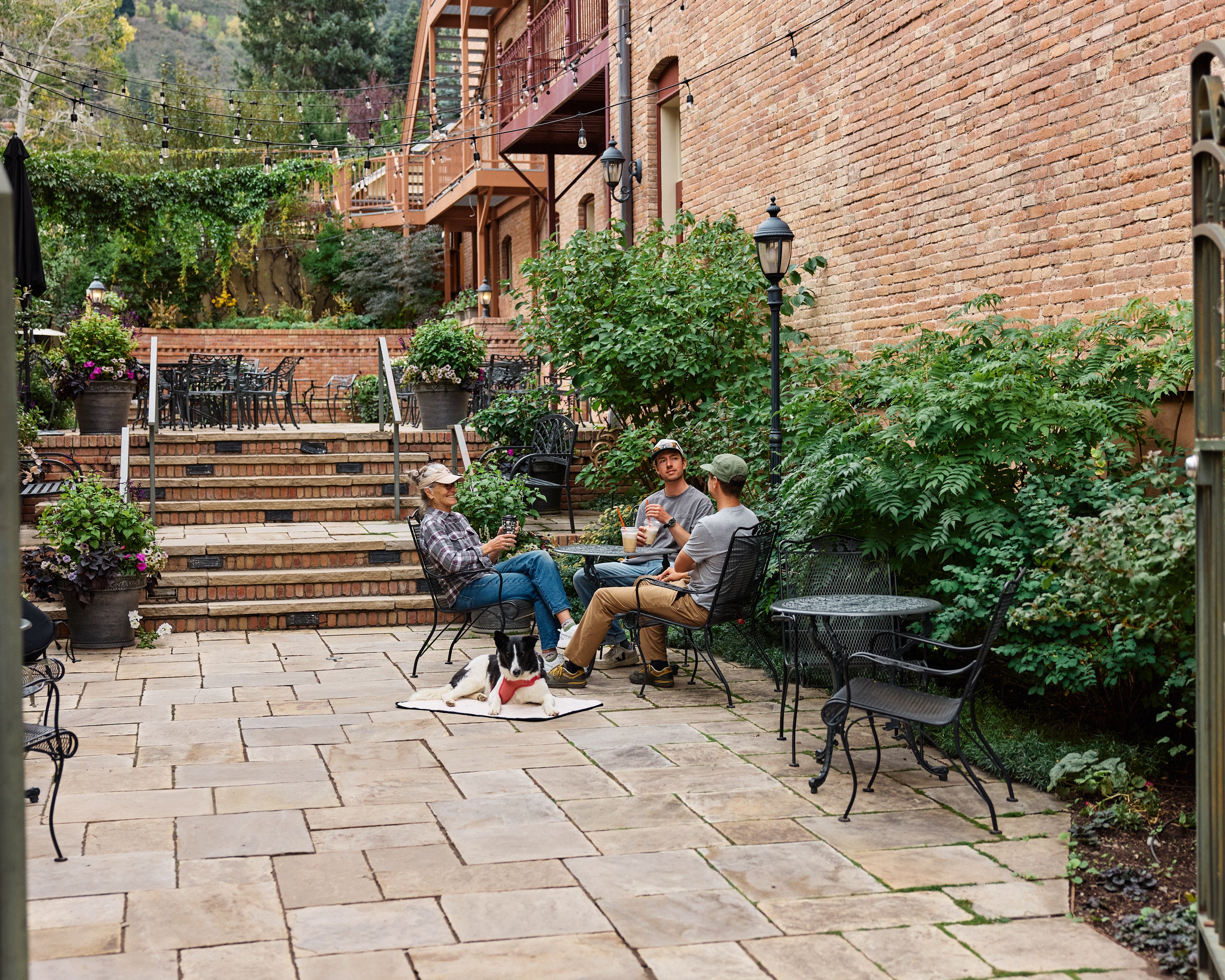 A group of people sitting at a cafe drinking coffee, with a dog lying on a My Place portable dog bed