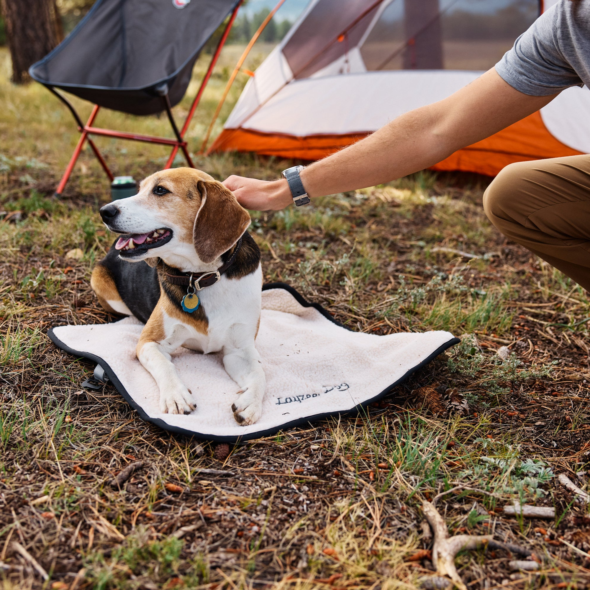 A dog on a Layzee Dog My Place dog bed with a person petting it, surrounded by camping gear.