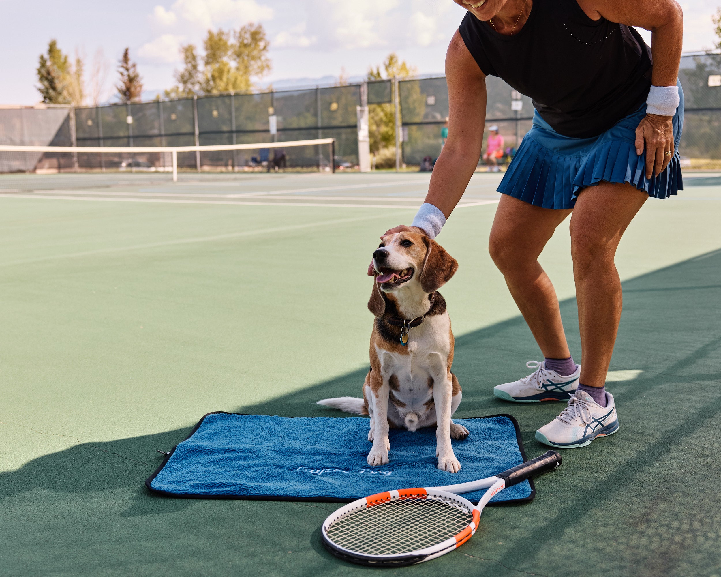 Layzee dog portable dog bed on a tennis court, pickleball court, in a Colorado sky color.